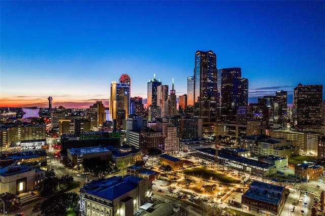 2111 Albany St, Dallas, TX 75201 - view of city