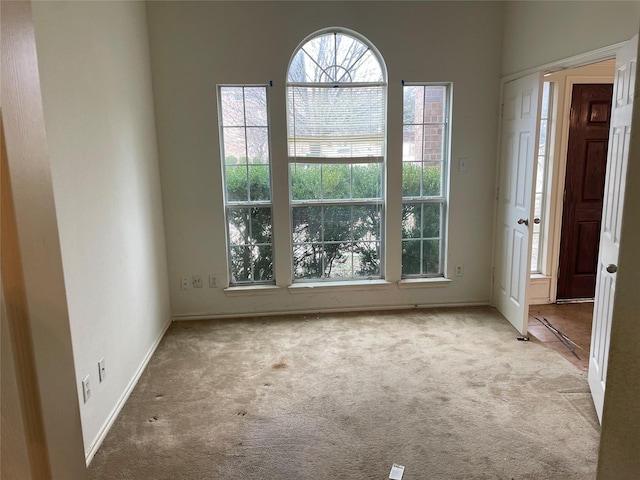 empty room featuring light carpet and a healthy amount of sunlight