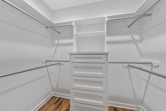 walk in closet with dark wood finished floors