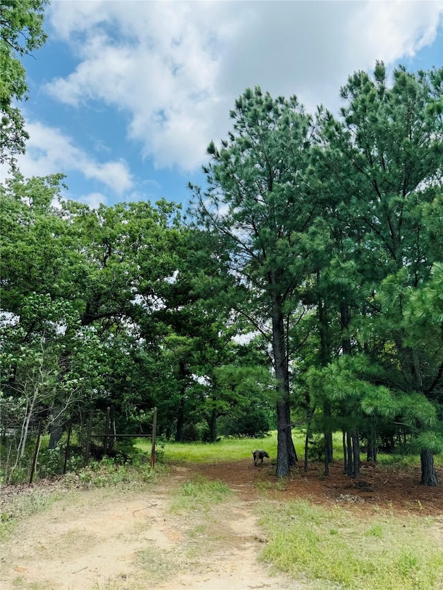 view of nature