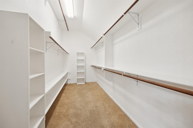 spacious closet featuring light colored carpet