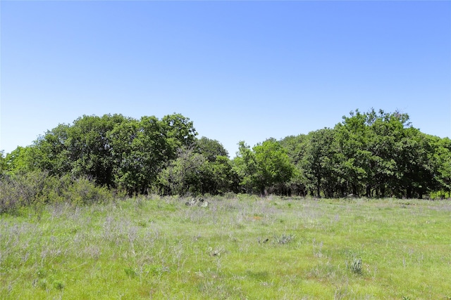 40ACRES Sears Mayfield Rd, Henrietta, TX 76365
