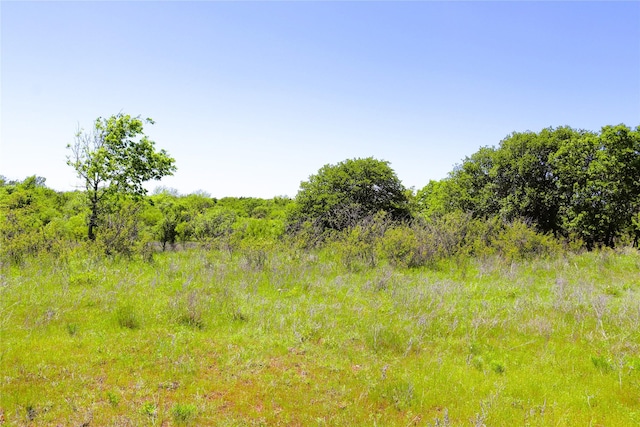 40ACRES Sears Mayfield Rd, Henrietta, TX 76365