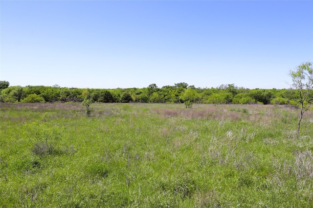 40ACRES Sears Mayfield Rd, Henrietta, TX 76365