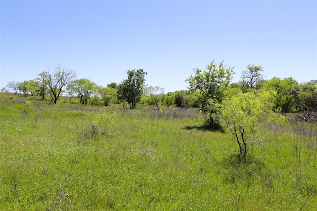 40ACRES Sears Mayfield Rd, Henrietta, TX 76365