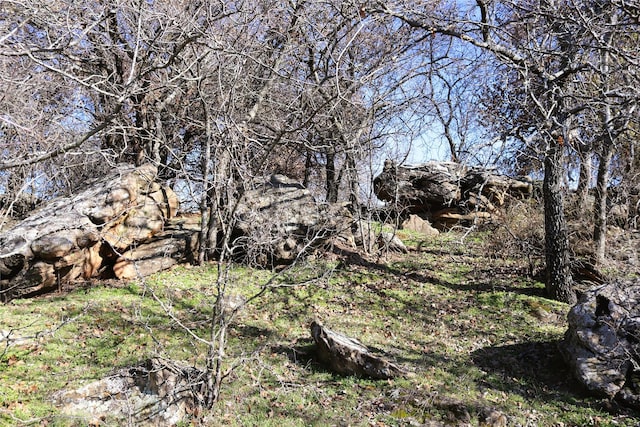 40ACRES Sears Mayfield Rd, Henrietta, TX 76365