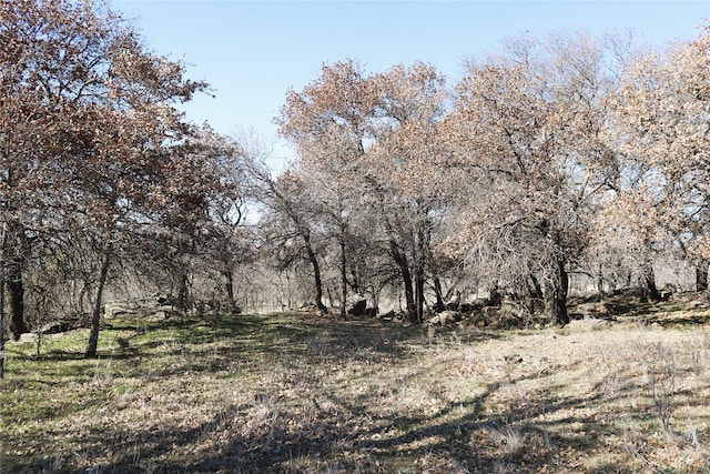 40ACRES Sears Mayfield Rd, Henrietta, TX 76365