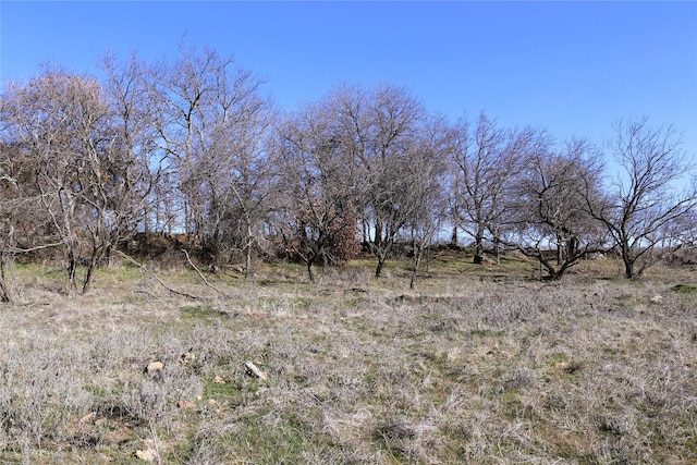 40ACRES Sears Mayfield Rd, Henrietta, TX 76365