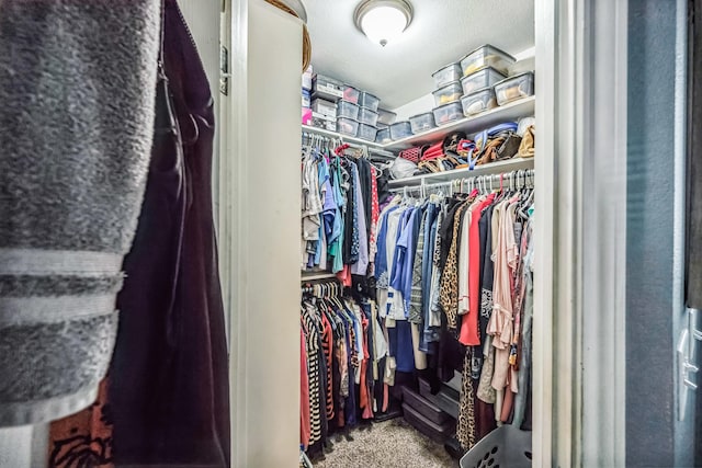 spacious closet featuring carpet floors