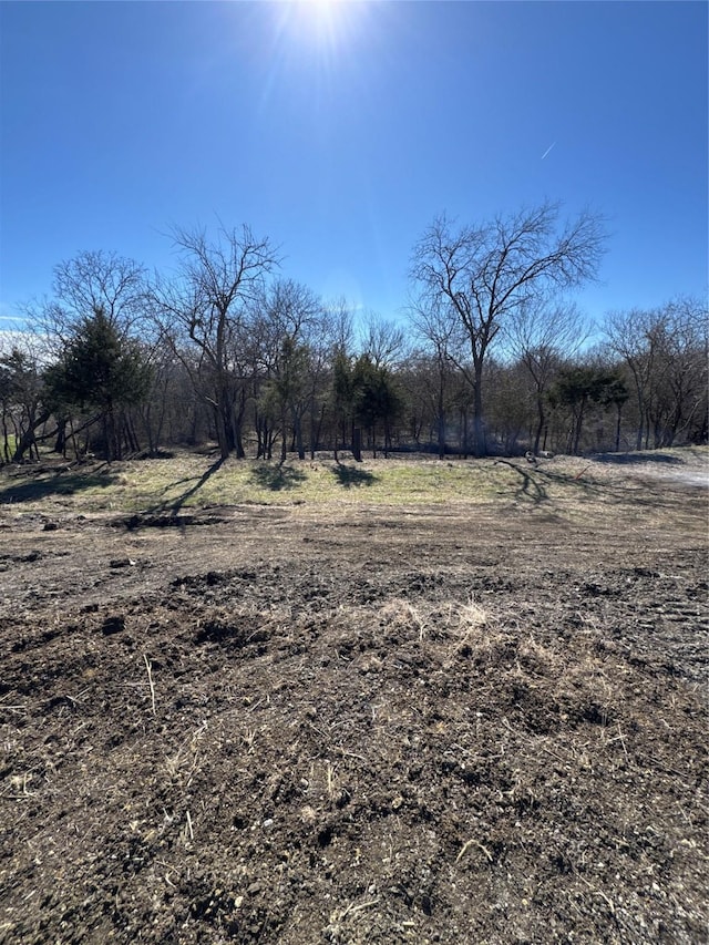 1784 Jilian Dr, Gunter, TX 75058 - view of yard with a rural view