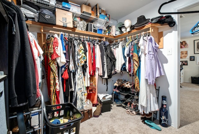 walk in closet featuring carpet flooring