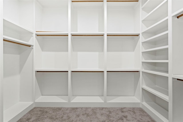 spacious closet featuring carpet