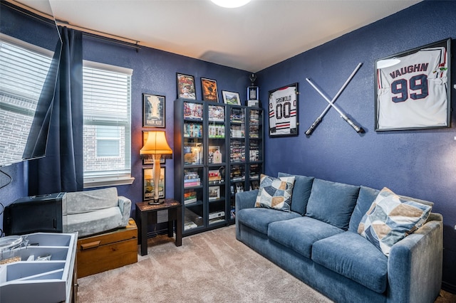 interior space with carpet flooring and a textured wall