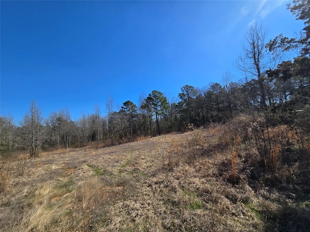 view of local wilderness