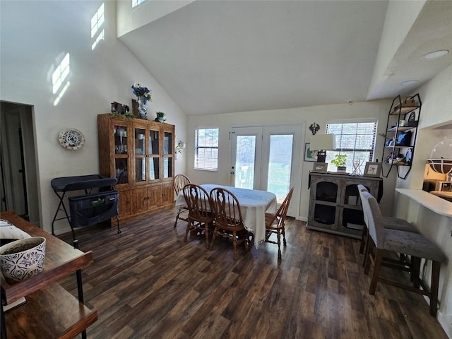 dining room featuring high vaulted ceiling and dark wood-type flooring