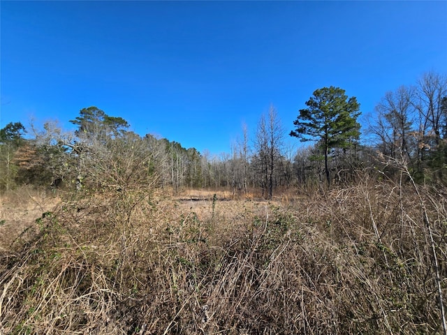 view of local wilderness