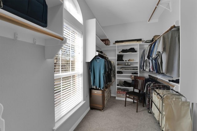 walk in closet with light colored carpet