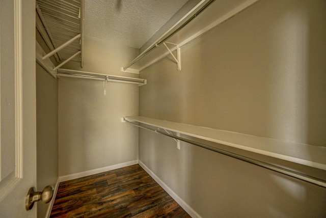 walk in closet with dark wood-style flooring