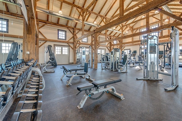 exercise room featuring a healthy amount of sunlight and high vaulted ceiling