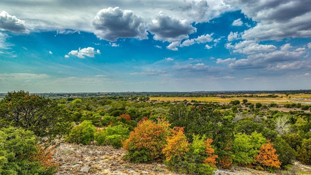 view of nature