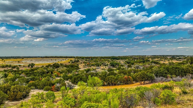 view of landscape