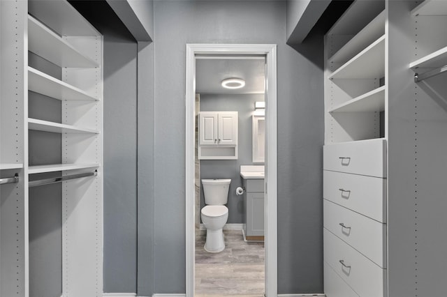 spacious closet with wood finished floors