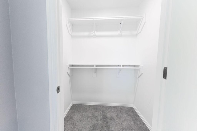 3321 Old Hickory Trl, Forest Hill, TX 76140 - walk in closet with carpet floors