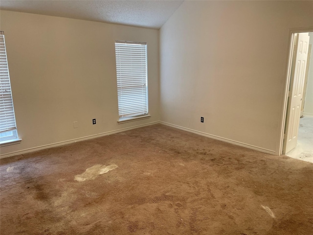 spare room featuring lofted ceiling, a healthy amount of sunlight, a textured ceiling, and light colored carpet