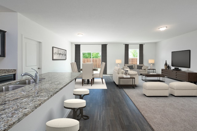 living area featuring dark wood-type flooring