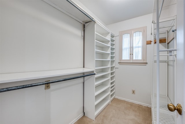 walk in closet with light colored carpet