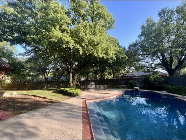 view of swimming pool featuring a patio area, a fenced backyard, and a diving board