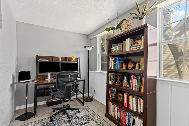 home office with carpet floors, a healthy amount of sunlight, and a textured ceiling