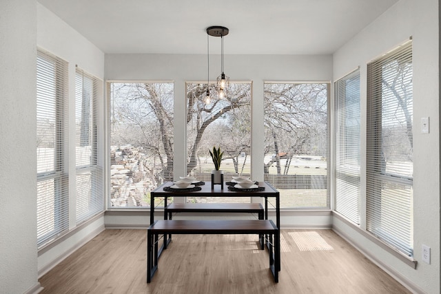 dining space featuring plenty of natural light, wood finished floors, and baseboards