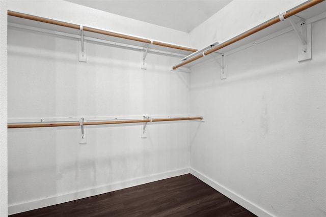 walk in closet with dark wood finished floors