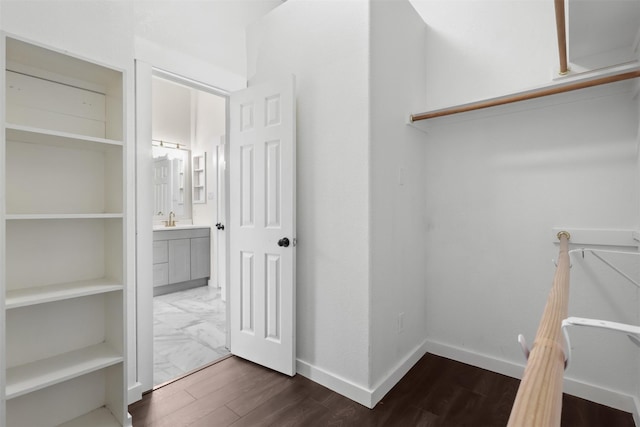 spacious closet with a sink and dark wood finished floors