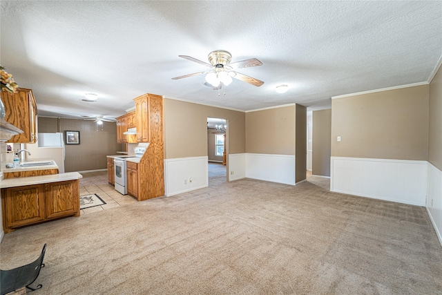 interior space with ceiling fan, a textured ceiling, light carpet, ornamental molding, and wainscoting