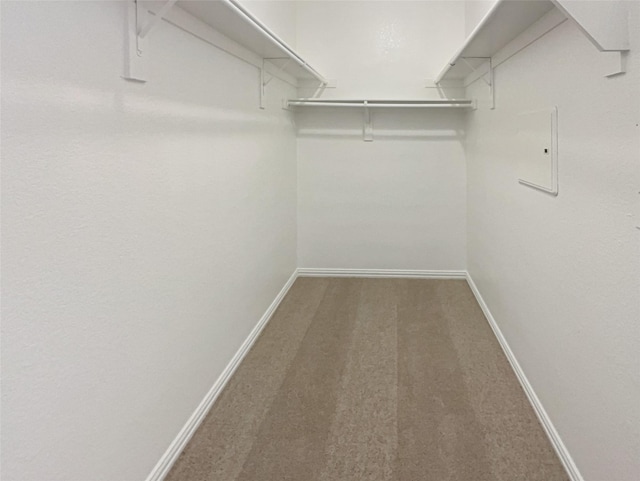 spacious closet with attic access and carpet floors