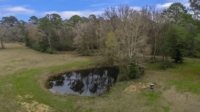 view of landscape featuring a water view