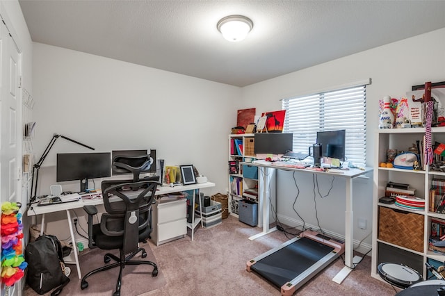 office space with a textured ceiling and light colored carpet