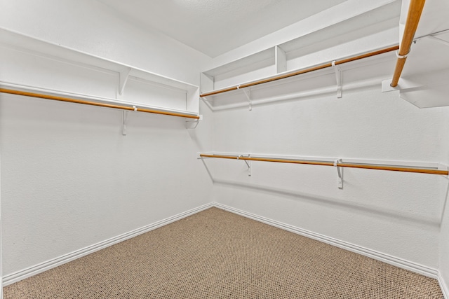 walk in closet featuring carpet floors