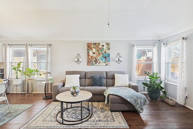 living area featuring dark wood-style floors, baseboards, and crown molding