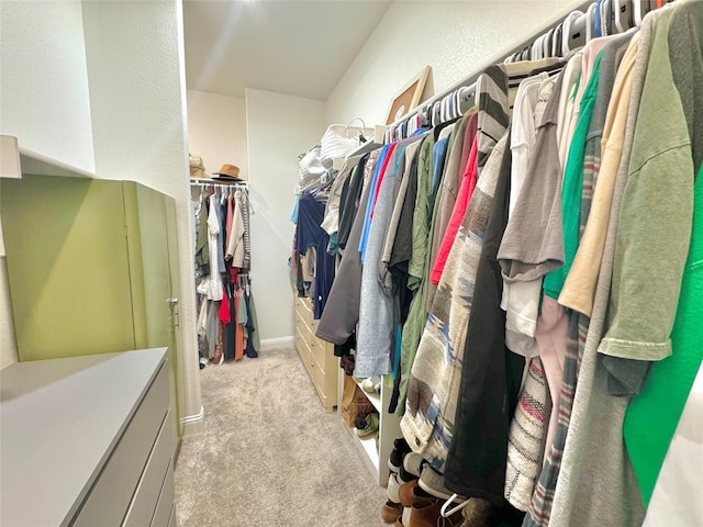 spacious closet with light colored carpet