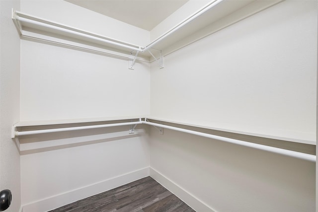 walk in closet featuring dark wood-style floors