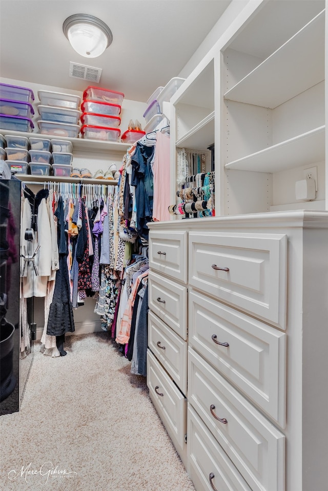 spacious closet with visible vents