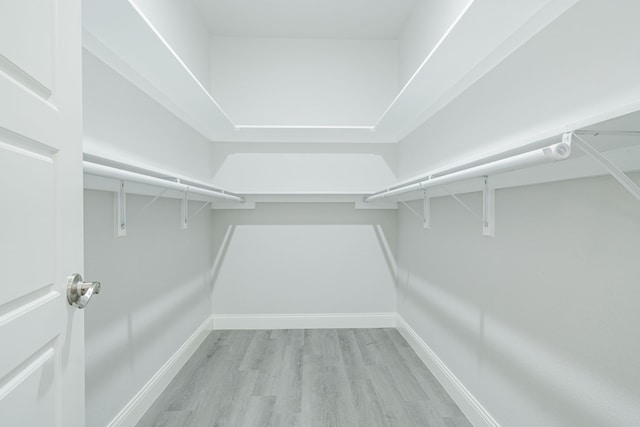 spacious closet featuring light wood finished floors