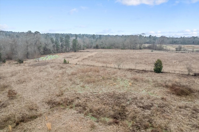 view of landscape featuring a rural view