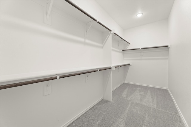 1810 Iris Rd, Melissa, TX 75454 - walk in closet with carpet flooring