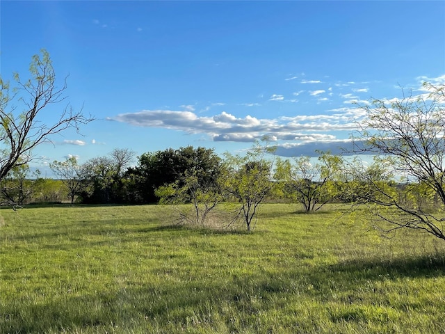 129 Tobiano Trce, Brock TX, 76087 land for sale