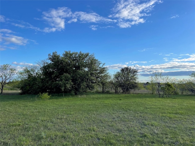 Listing photo 3 for 129 Tobiano Trce, Brock TX 76087