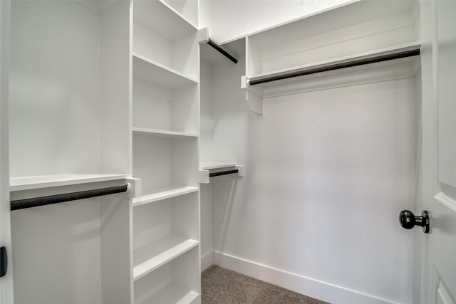 walk in closet featuring carpet